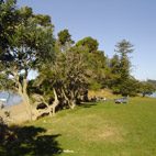 Motuihe Island Motuihe Island