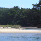Weiti River - Gulf Harbour